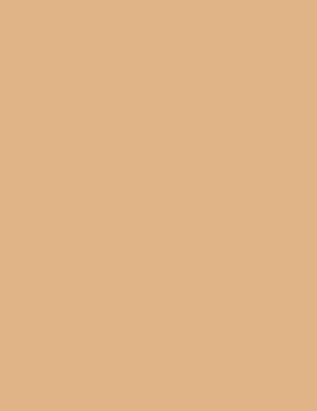 Pan stick rich creamy foundation thumbnail 2