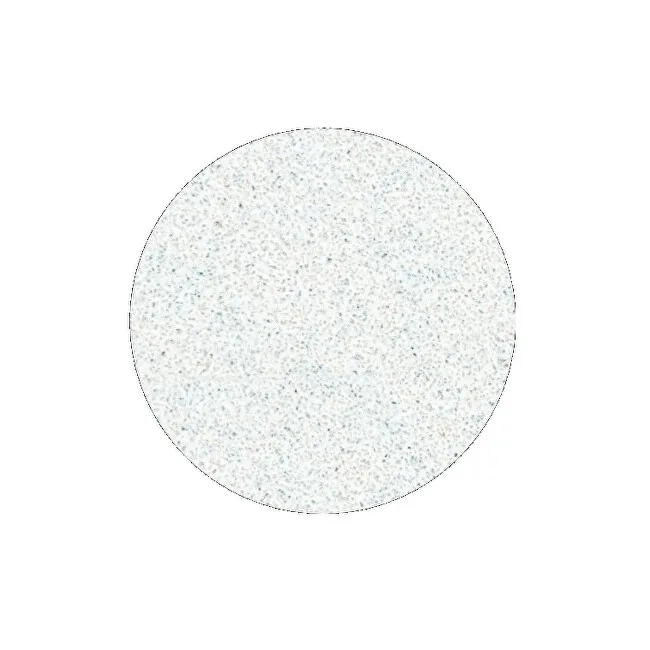 STALEKS Replacement sandpaper for pedicure disc