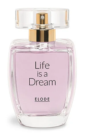 Life is a dream