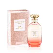 Coach dreams sunset thumbnail 6