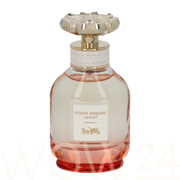 Coach dreams sunset thumbnail 10