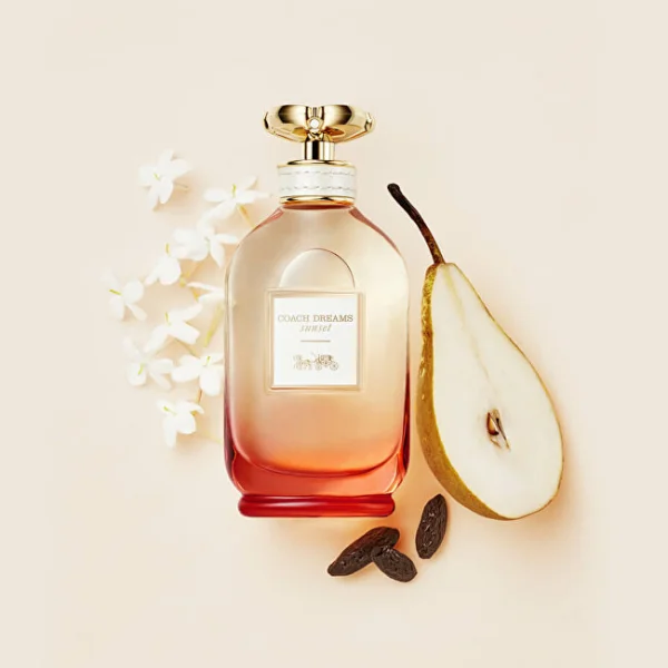 Coach dreams sunset thumbnail 2