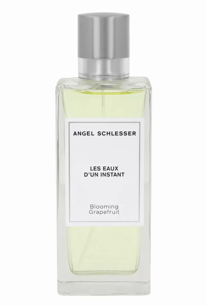 Angel schlesser Les Eaux D`un Instant