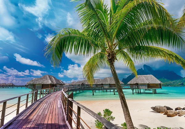 TREFL PRIME dėlionė „Bora Bora“, 1000 det.