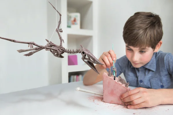  Kasinėjimų rinkinys „Pteranodonas" thumbnail 4