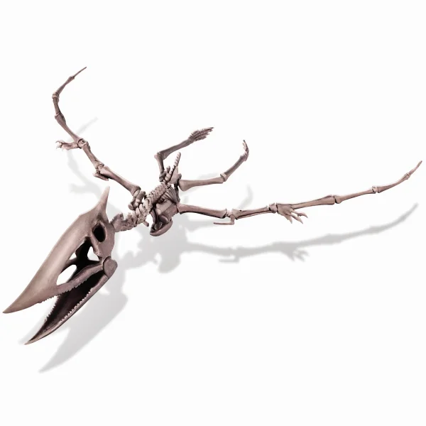  Kasinėjimų rinkinys „Pteranodonas" thumbnail 2