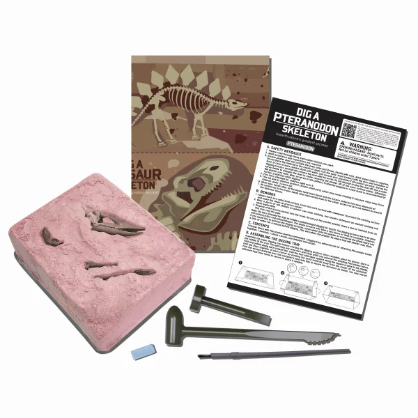  Kasinėjimų rinkinys „Pteranodonas" thumbnail 5