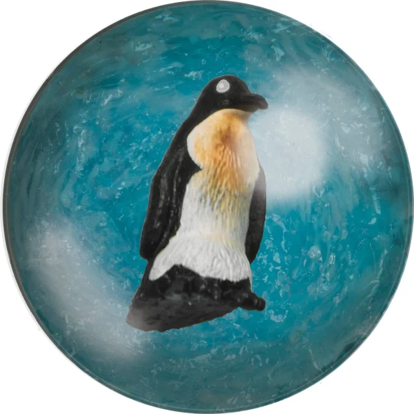 Kamuoliukas su pingvinu thumbnail 2