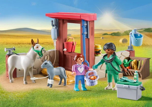  COUNTRY Kaimo veterinaras 71471 thumbnail 2