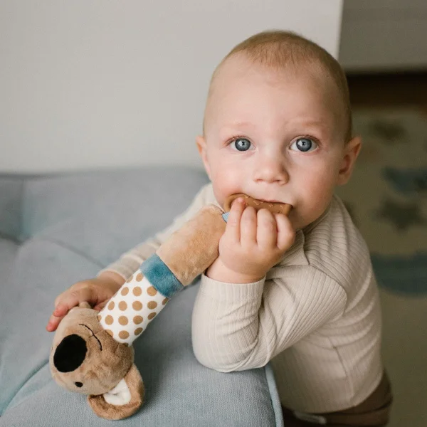 Babyono cypsiukas koala charlie 1560 thumbnail 3