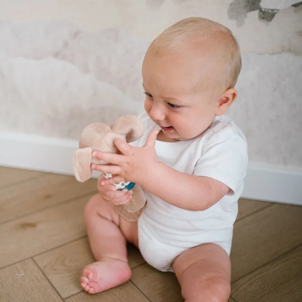 Babyono cypsiukas koala charlie 1560 thumbnail 4