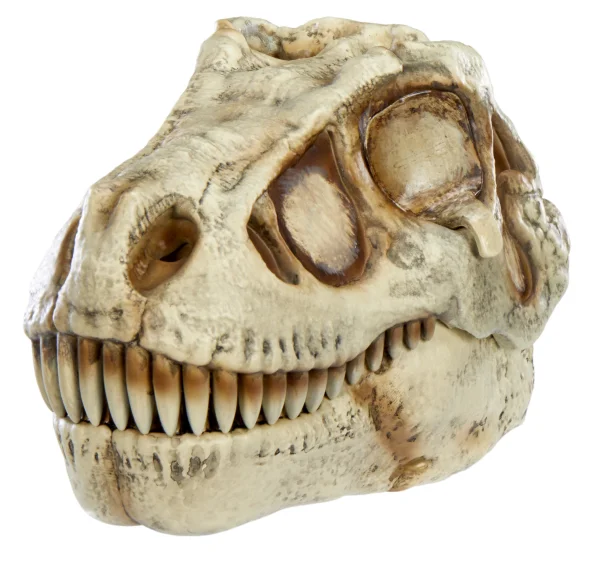  Interaktyvus rinkinys Dino