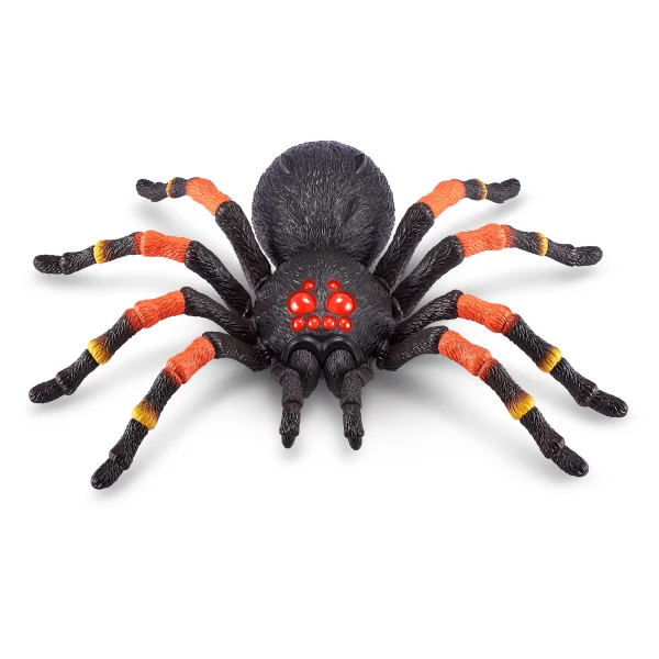  Interaktyvus didysis tarantulas