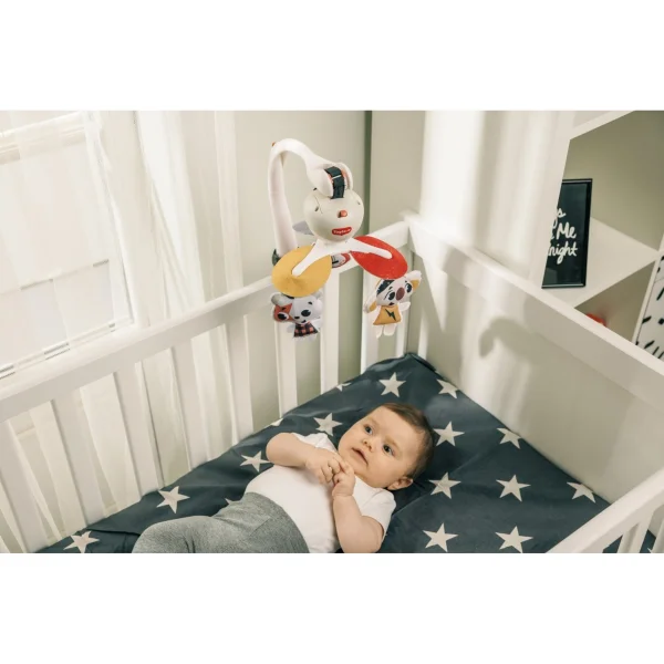  kelioninė karuselė tiny rockers thumbnail 2