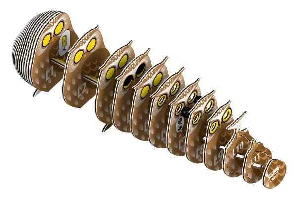  3D kartoninis modelis „Pelėda“ thumbnail 2