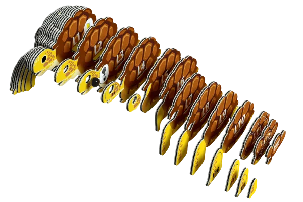  3D kartoninis modelis „Sausumos vėžlys“ thumbnail 2
