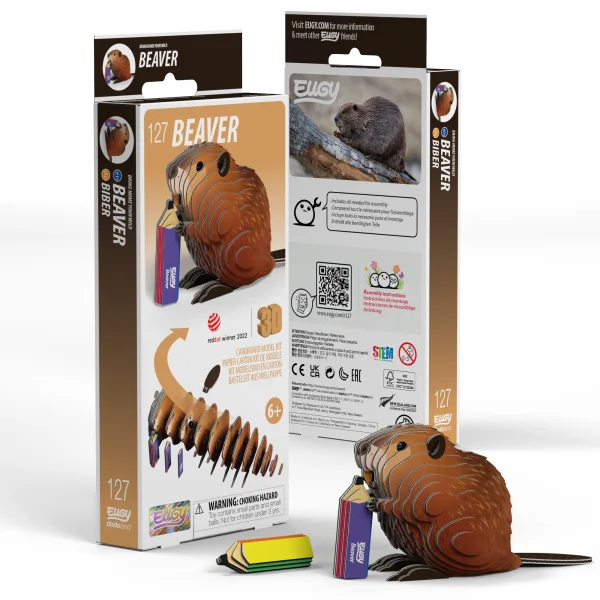  3D kartoninis modelis „Bebras“