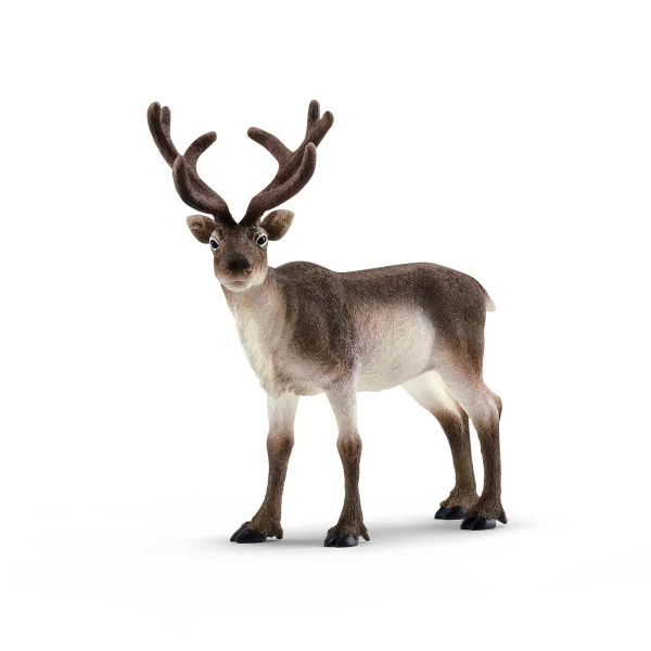  WILD LIFE Šiaurės Elnias
