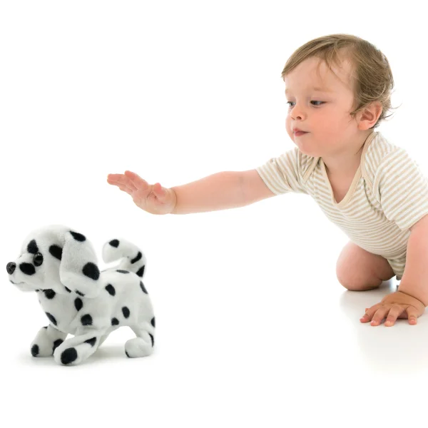  Vaikštantis šuniukas SPOTTY thumbnail 2