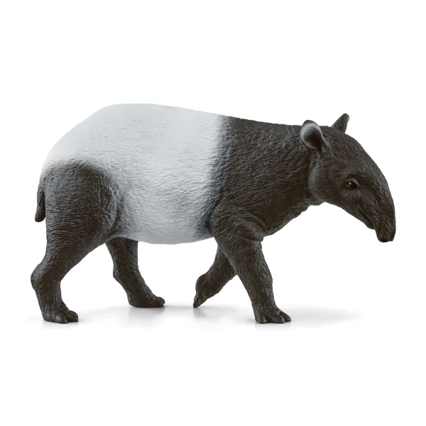  WILD LIFE Tapyras