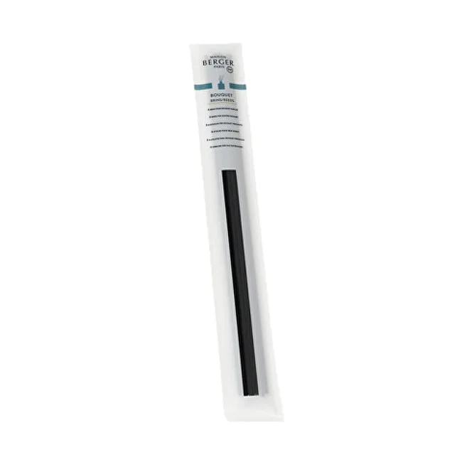 Maison Berger Paris Polymer sticks for
