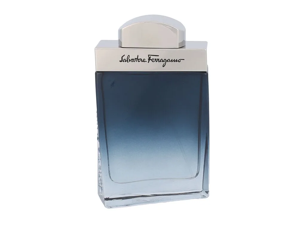 Ferragamo Subtil Pour Homme Eau De