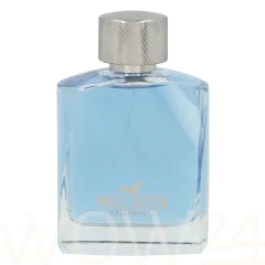Hollister Wave thumbnail 5