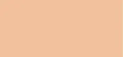 Dior Dior Forever Skin Perfect Foundation 10 ml Makiažo pagrindas thumbnail 6