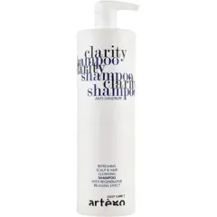 Artègo Easy Care T Clarity Shampoo thumbnail 1