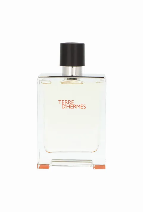 Terre d'Hermes Flacon H 2019