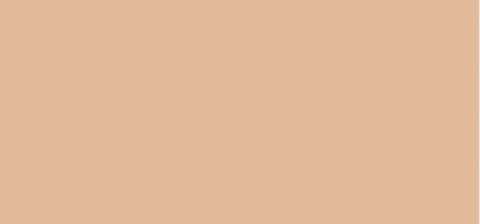Corrector Everlast Concealer