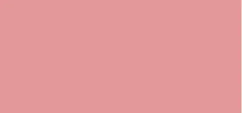 Soft and long-lasting blush Subtil 5.1 g - 373 Aplum Natural Mat