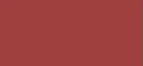 Matte lipstick Le Rouge Velvet Matte 2.3 g - P10