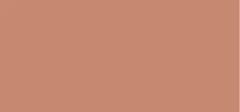 Replacement refill for bronzing powder Terracotta (Bronzing Powder Refill) 8.5 g - 02 Moyen Rosé