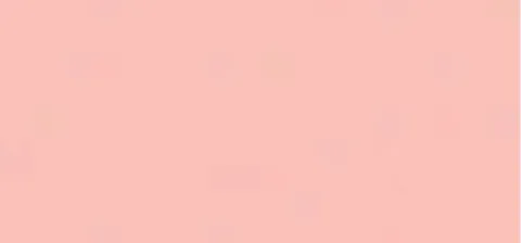 Nail polish (Nail Polish) 13.5 ml - 5 charm to stable