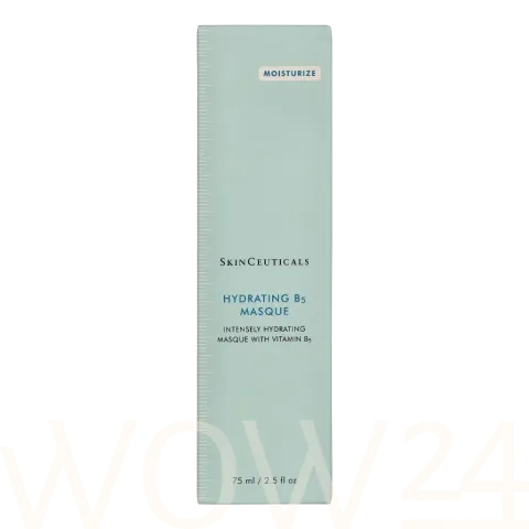 SkinCeuticals Hydrating B5 Masque