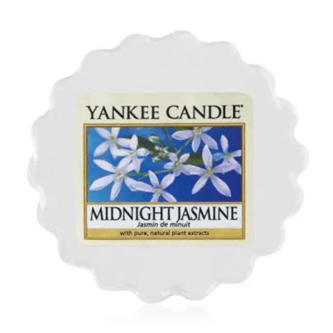 Midnight jasmine