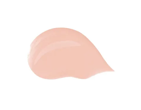 Hydrating tinted cream (Blueberry Nutri-Tint) 30 ml - 2C