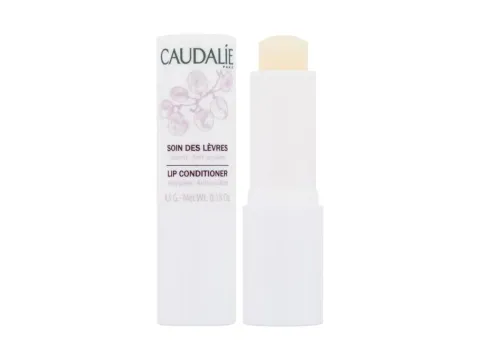 Lip conditioner