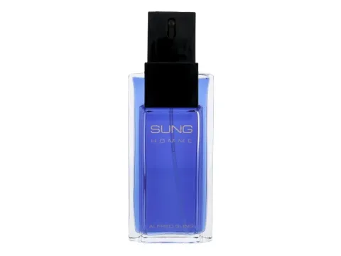 Sung Homme