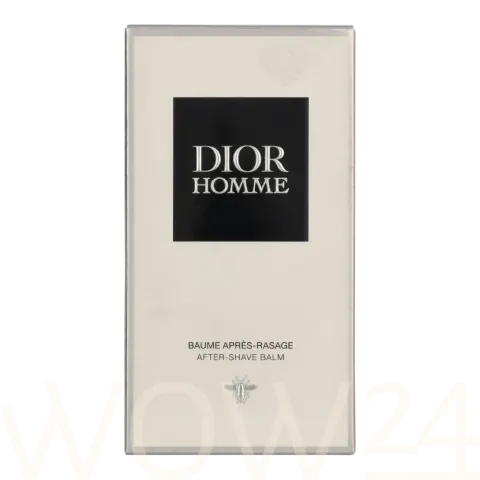 Dior Homme 2020
