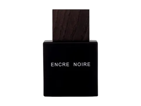 Encre noire